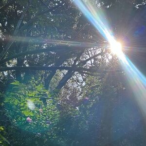 Unlisted Pulls Posh Live Show! 1-50